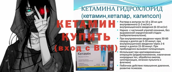 сатива Баксан