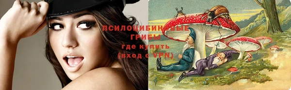 сатива Баксан